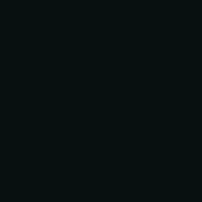portfolio animation